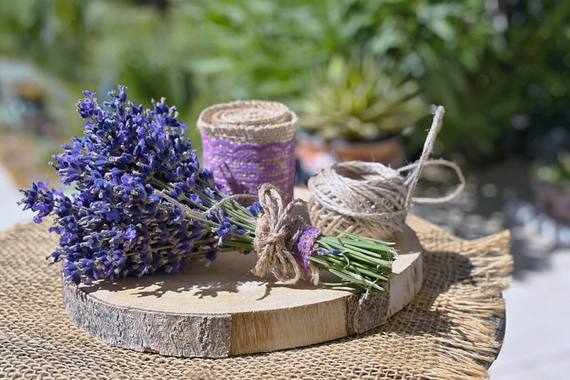 Garden DIY Projects