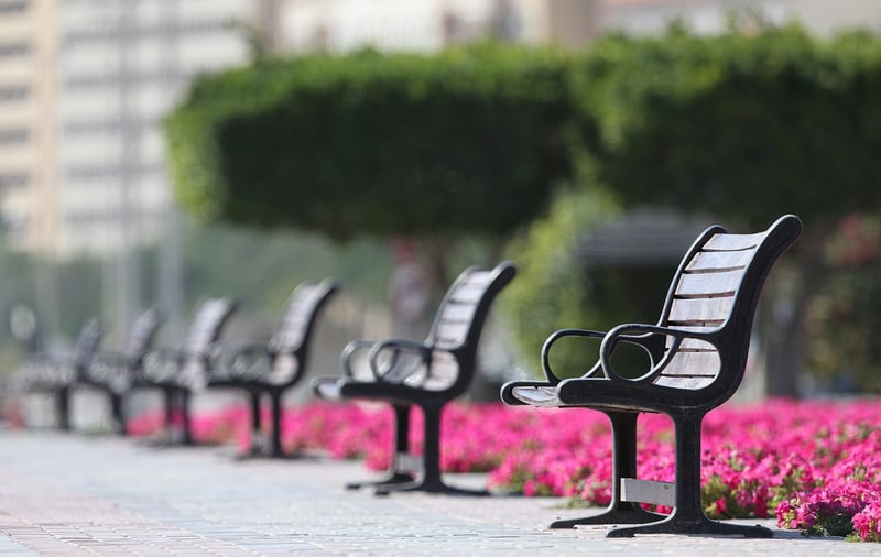 Public Park Maintenance